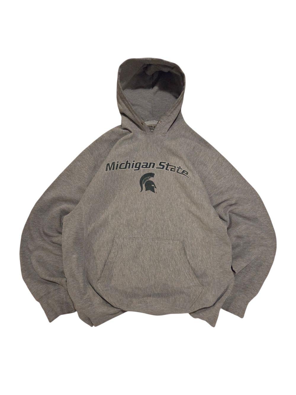 Vintage Steve And Barry's Michigan State Gray Pullover Hoodie